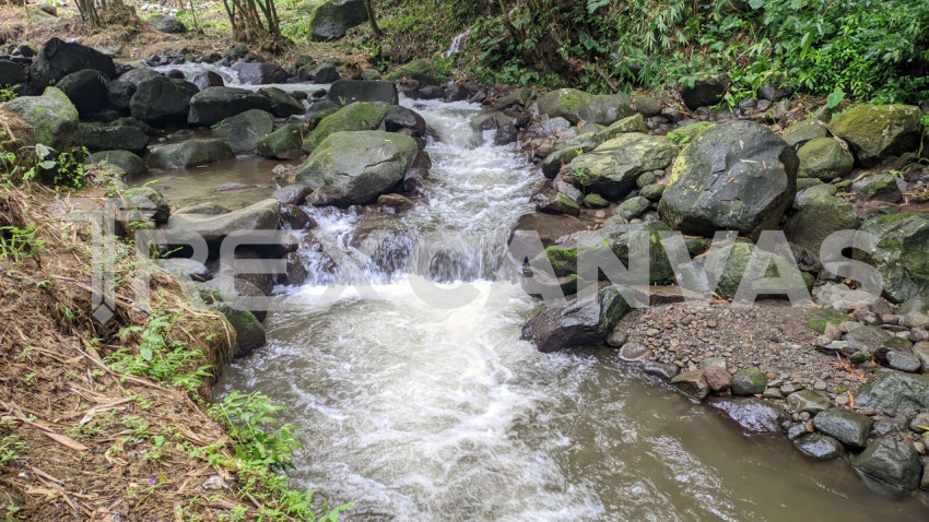 River with flowing water