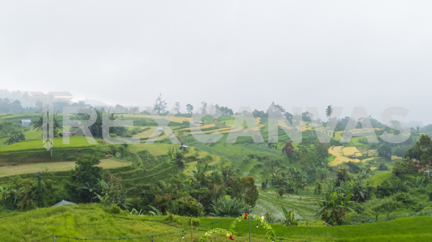 Terraced rice fields in one of the most beautiful villages