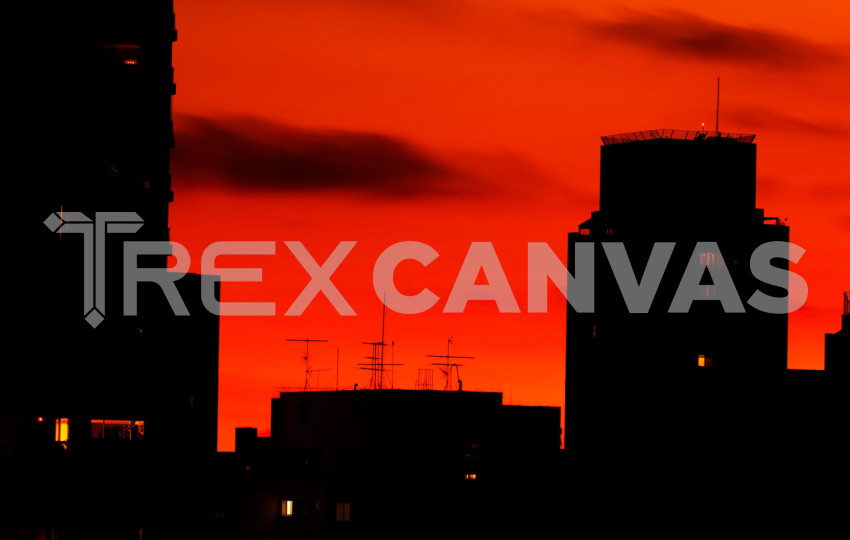 trexcanvas JulioKohl  MG 7388