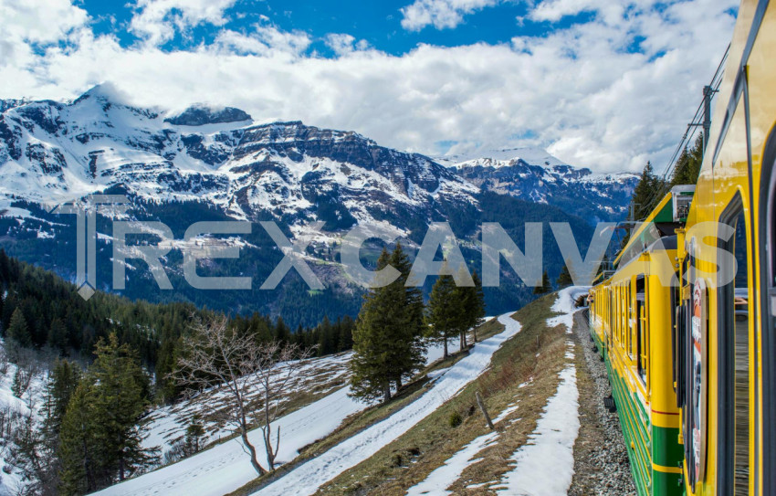 In the Shadow of Giants: A Journey Through Swiss Mountain Landscapes