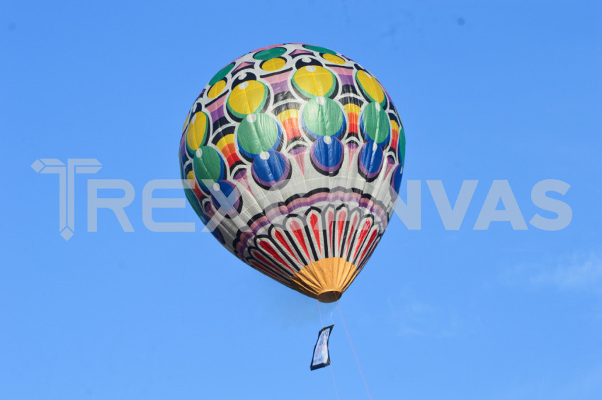 A Balloon In The Blue Sky