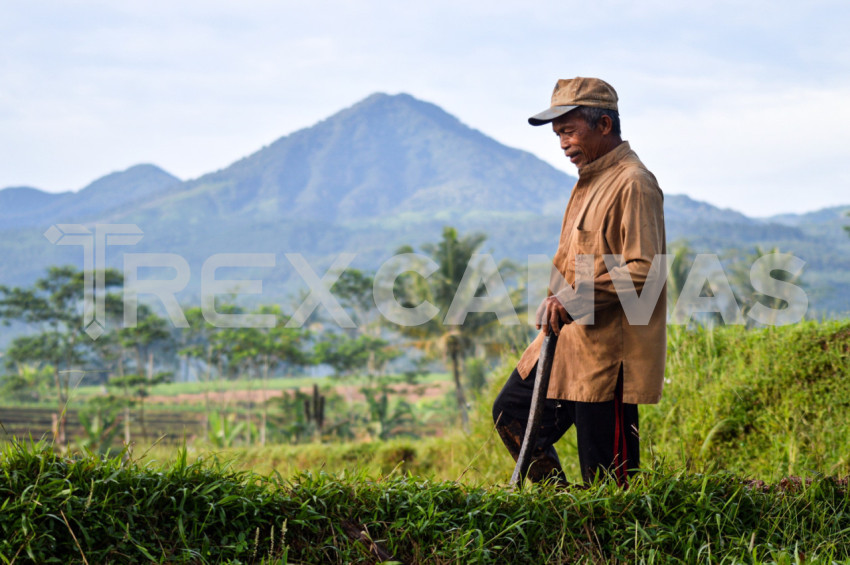 Farmer And The Mountain