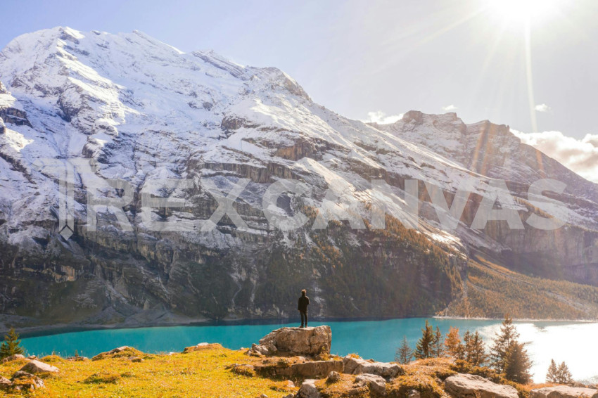 Beauty Beyond the Alps