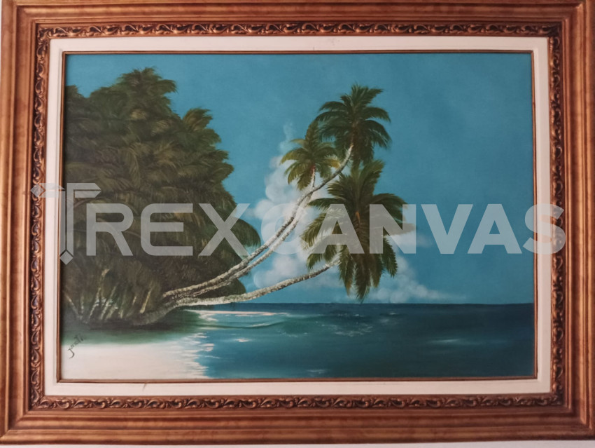 Playa de los cocos - Photo #244 - Trex Canvas - Premium Stock Photos ...