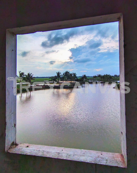 Window view of nature