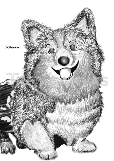 Dog B&W sketch