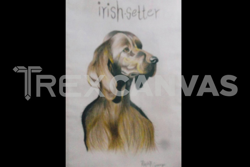 Irish Setter