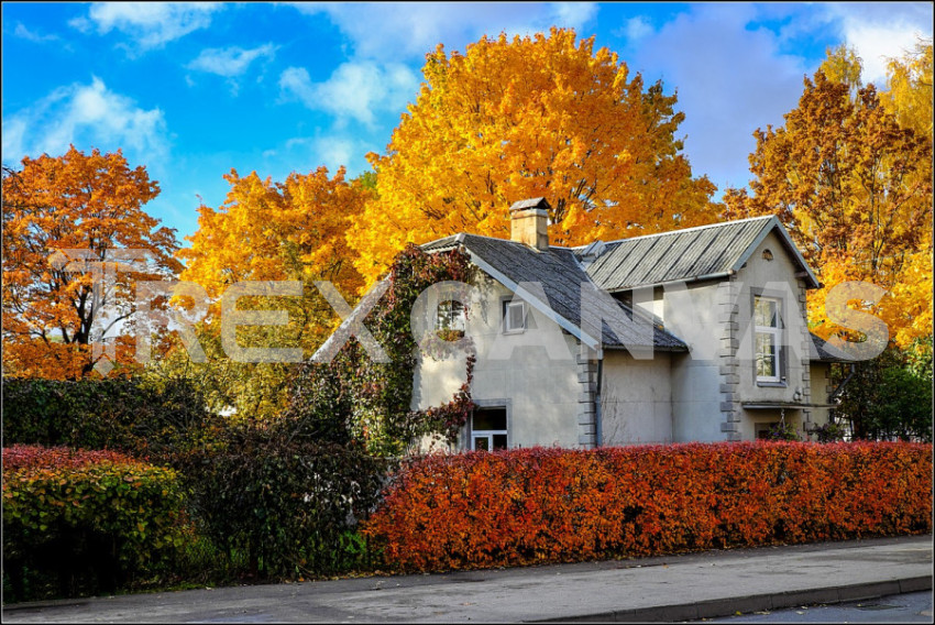 House surrounded by coloured trees on a sunny autumn day