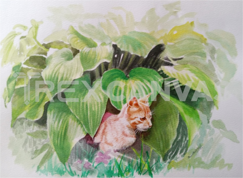 Cat in green