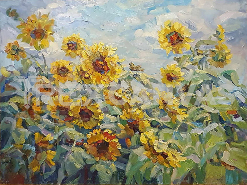 Sunflowers