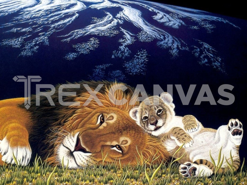 animals artwork baby animals lion