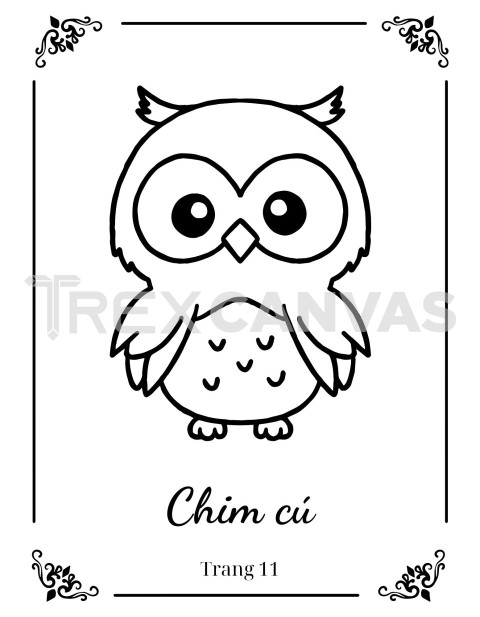 Owl animal color