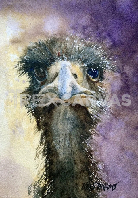 Emu