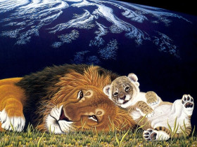 animals artwork baby animals lion