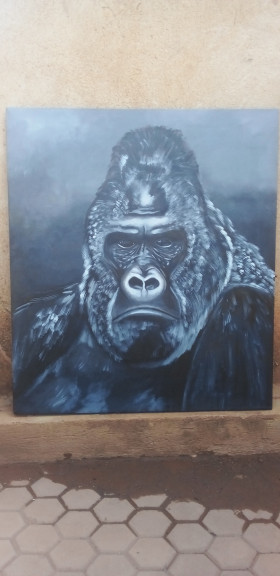 African gorilla