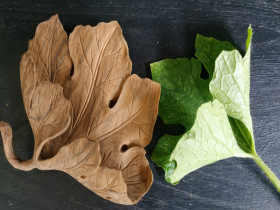 3D wood leaves