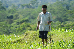 An Old Man Walking Alone