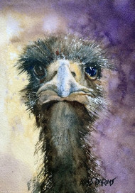 Emu