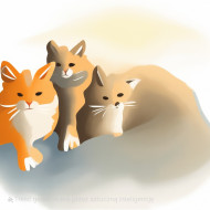 foxes