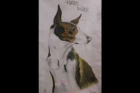 Ibizan Hound