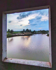 Window view of nature