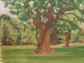 Southampton tree study