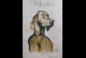 Irish Setter