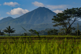 Mountain View Near My Village