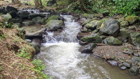 River with flowing water