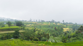 Terraced rice fields in one of the most beautiful villages