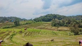 view at the foot of the mountain